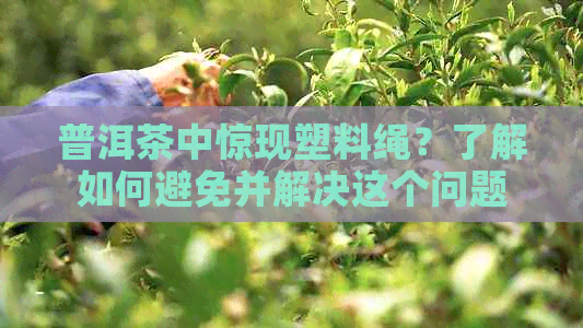 普洱茶中惊现塑料绳？了解如何避免并解决这个问题