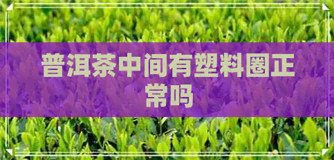 普洱茶中间有塑料圈正常吗