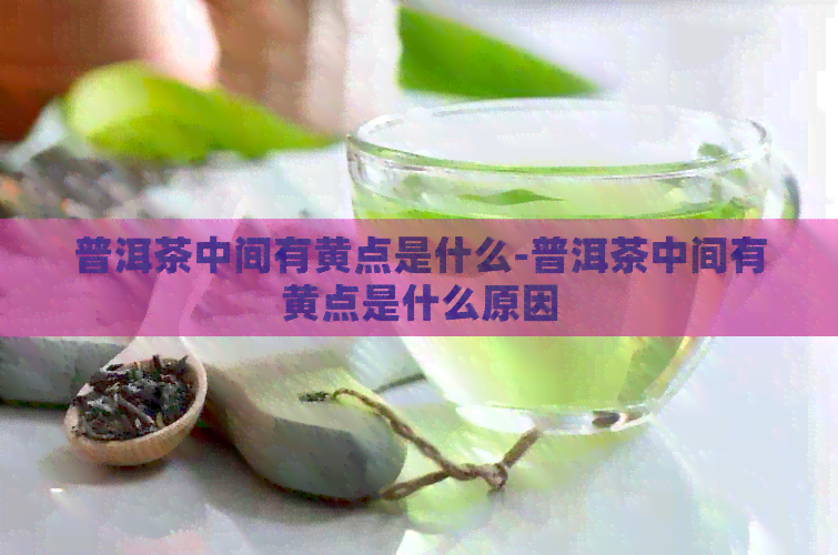 普洱茶中间有黄点是什么-普洱茶中间有黄点是什么原因