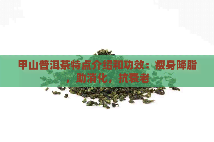 甲山普洱茶特点介绍和功效：瘦身降脂，助消化，抗衰老