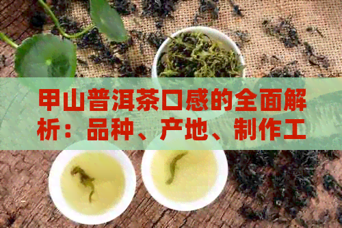 甲山普洱茶口感的全面解析：品种、产地、制作工艺对口感的影响及品鉴方法