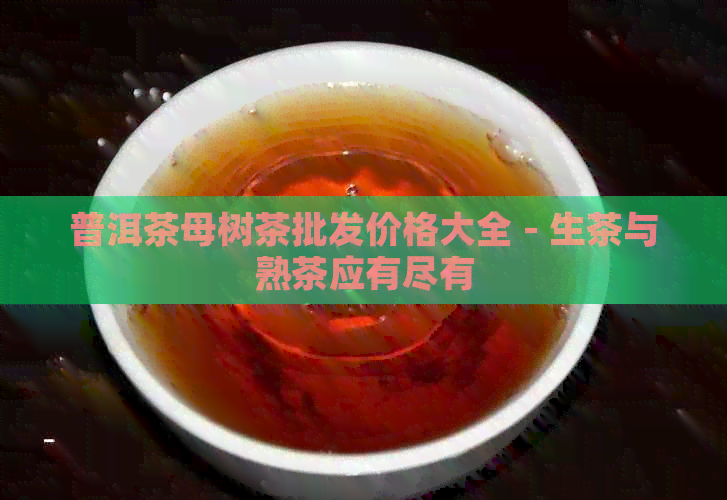 普洱茶母树茶批发价格大全 - 生茶与熟茶应有尽有