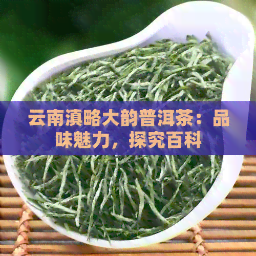 云南滇略大韵普洱茶：品味魅力，探究百科