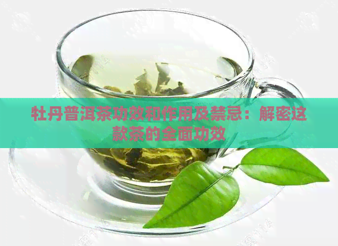 牡丹普洱茶功效和作用及禁忌：解密这款茶的全面功效