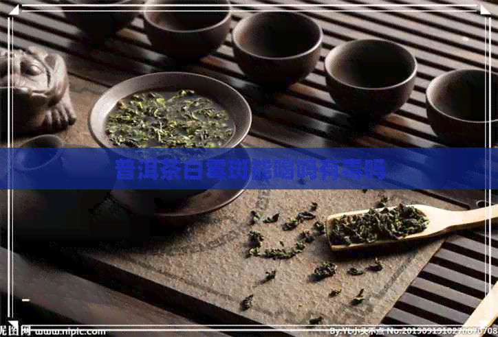 普洱茶白霉斑能喝吗有吗