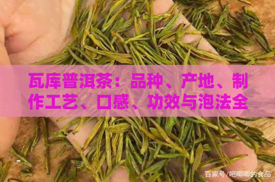 瓦库普洱茶：品种、产地、制作工艺、口感、功效与泡法全方位解析