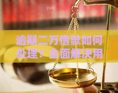 逾期二万借款如何处理？全面解决用户疑问，提供应对策略