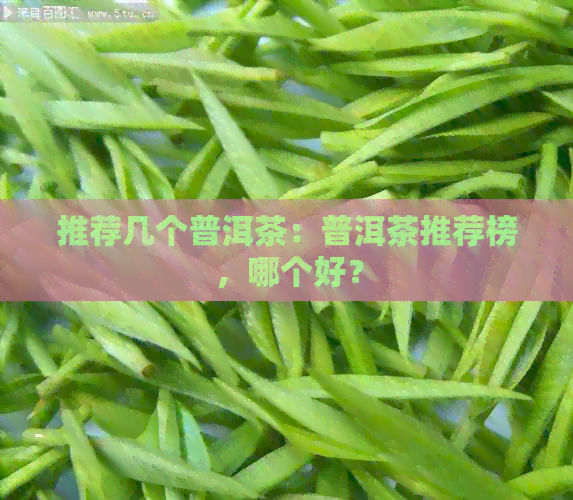 推荐几个普洱茶：普洱茶推荐榜，哪个好？