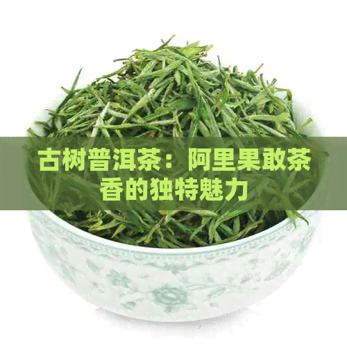 古树普洱茶：阿里果敢茶香的独特魅力