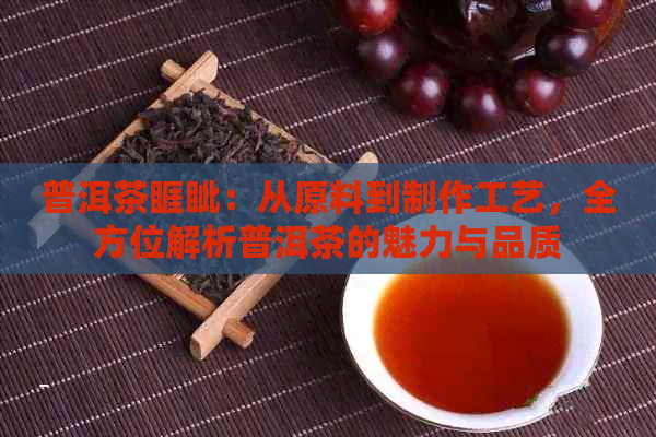 普洱茶睚眦：从原料到制作工艺，全方位解析普洱茶的魅力与品质