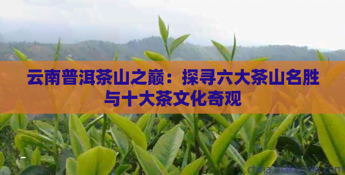 云南普洱茶山之巅：探寻六大茶山名胜与十大茶文化奇观