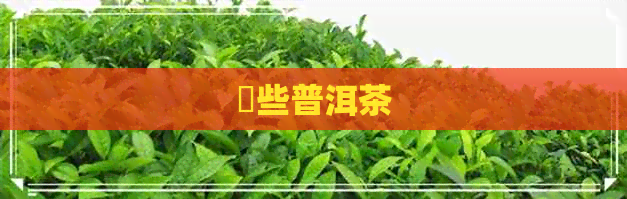 潗些普洱茶