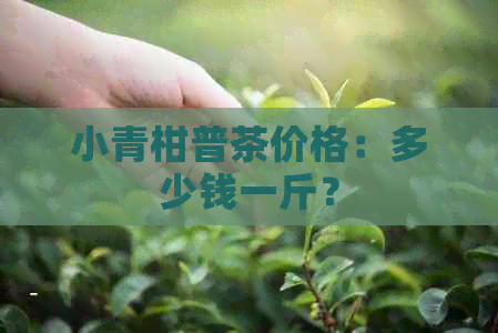 小青柑普茶价格：多少钱一斤？