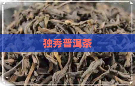 独秀普洱茶