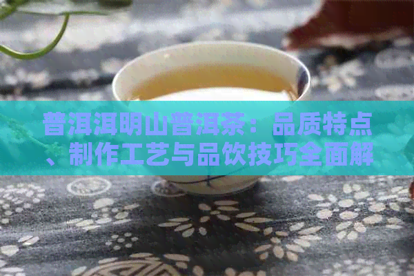 普洱洱明山普洱茶：品质特点、制作工艺与品饮技巧全面解析