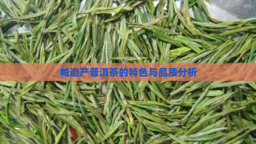 帕迫产普洱茶的特色与品质分析