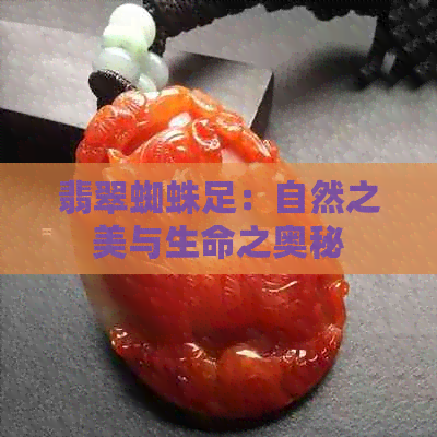 翡翠蜘蛛足：自然之美与生命之奥秘