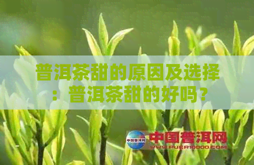 普洱茶甜的原因及选择：普洱茶甜的好吗？