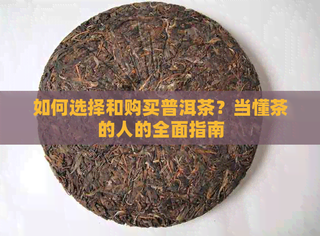 如何选择和购买普洱茶？当懂茶的人的全面指南