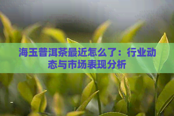 海玉普洱茶最近怎么了：行业动态与市场表现分析