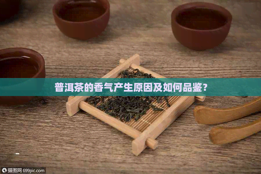 普洱茶的香气产生原因及如何品鉴？