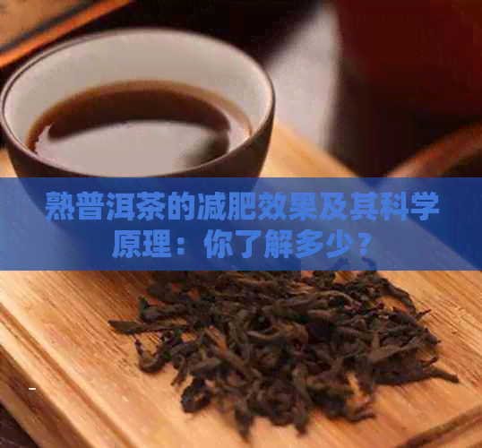 熟普洱茶的减肥效果及其科学原理：你了解多少？