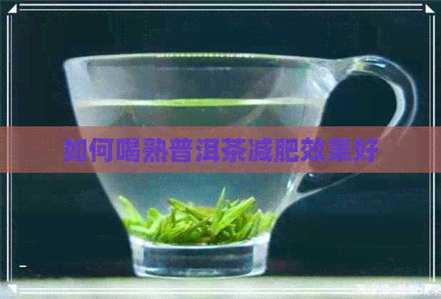 如何喝熟普洱茶减肥效果好