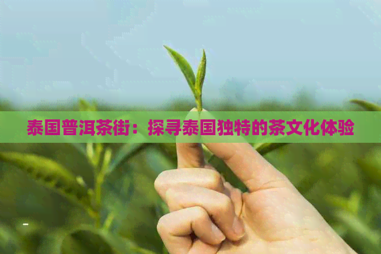 泰国普洱茶街：探寻泰国独特的茶文化体验