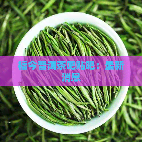 福今普洱茶吧贴吧：最新消息