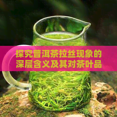 探究普洱茶拉丝现象的深层含义及其对茶叶品质的影响