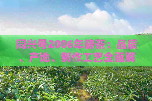 同兴号2006年砖茶：品质、产地、制作工艺全面解析与品鉴指南