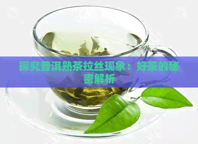 探究普洱熟茶拉丝现象：好茶的秘密解析