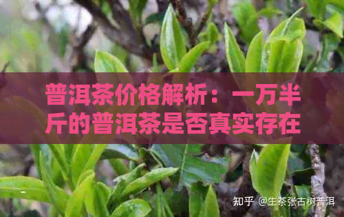 普洱茶价格解析：一万半斤的普洱茶是否真实存在？如何辨别真伪？