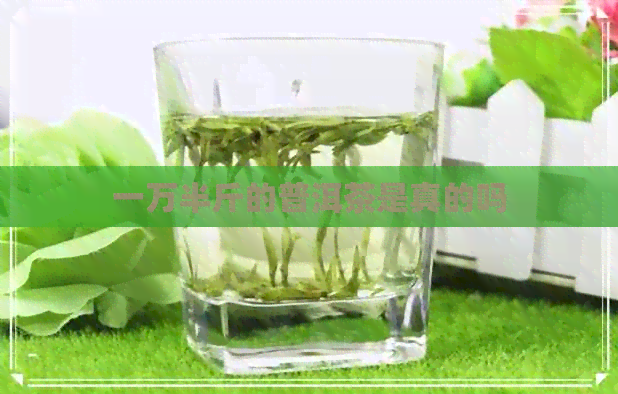 一万半斤的普洱茶是真的吗