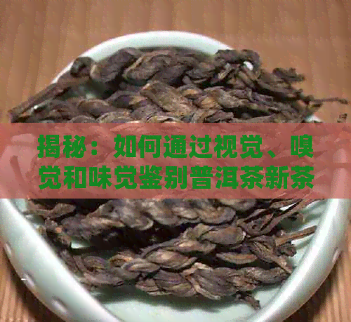 揭秘：如何通过视觉、嗅觉和味觉鉴别普洱茶新茶与陈茶？