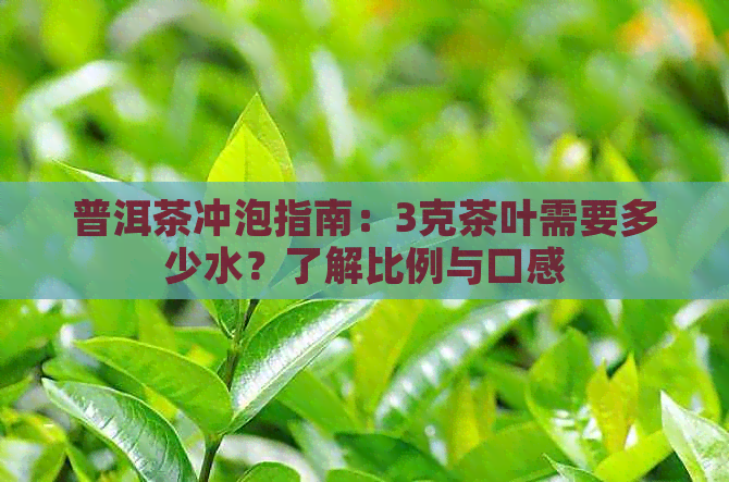 普洱茶冲泡指南：3克茶叶需要多少水？了解比例与口感