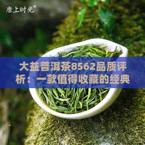 大益普洱茶8562品质评析：一款值得收藏的经典熟茶