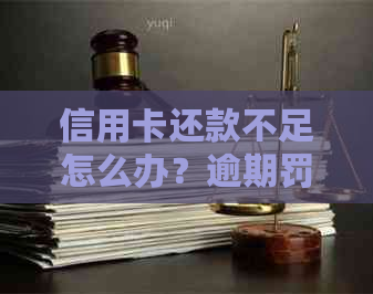 信用卡还款不足怎么办？逾期罚息和影响详细解析及解决方法