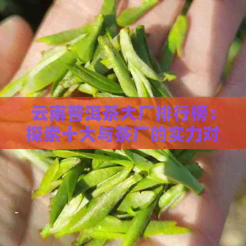 云南普洱茶大厂排行榜：探索十大与茶厂的实力对比