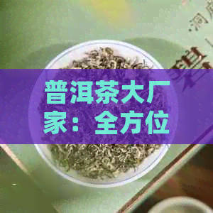 普洱茶大厂家：全方位了解优质普洱茶的选购、泡制与品鉴技巧