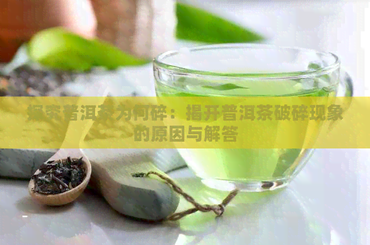 探究普洱茶为何碎：揭开普洱茶破碎现象的原因与解答