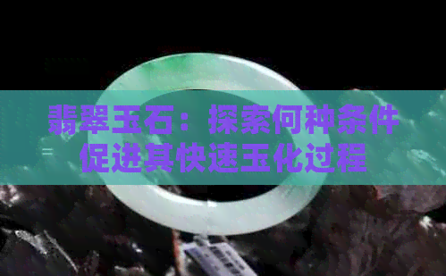 翡翠玉石：探索何种条件促进其快速玉化过程