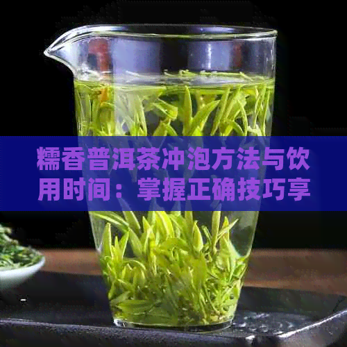 糯香普洱茶冲泡方法与饮用时间：掌握正确技巧享受茶香