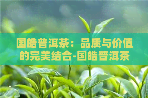 国皓普洱茶：品质与价值的完美结合-国皓普洱茶怎么样