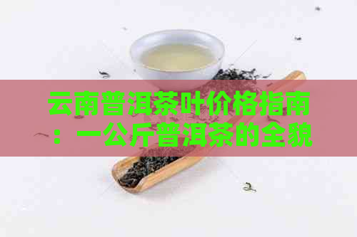 云南普洱茶叶价格指南：一公斤普洱茶的全貌分析及市场行情