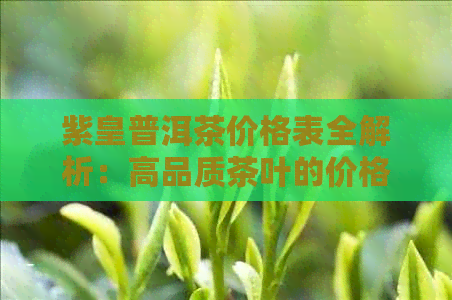 紫皇普洱茶价格表全解析：高品质茶叶的价格明细与购买指南