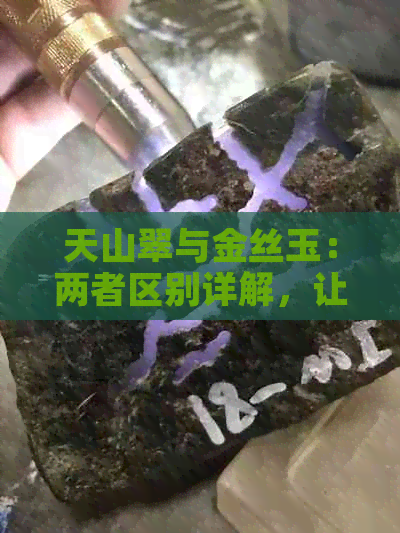 天山翠与金丝玉：两者区别详解，让你轻松分辨它们的不同特点