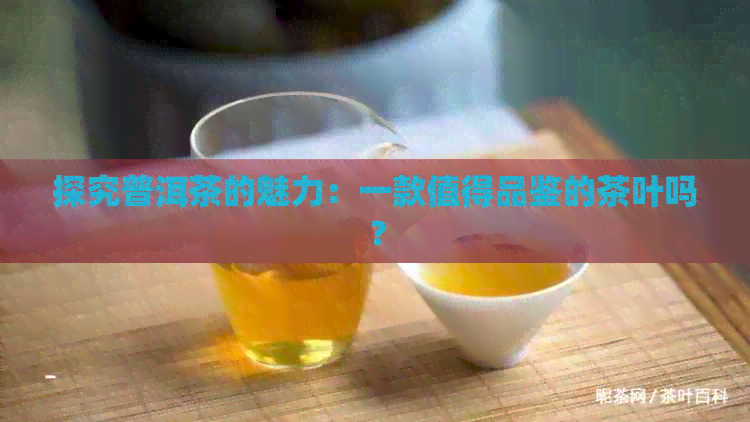 探究普洱茶的魅力：一款值得品鉴的茶叶吗？