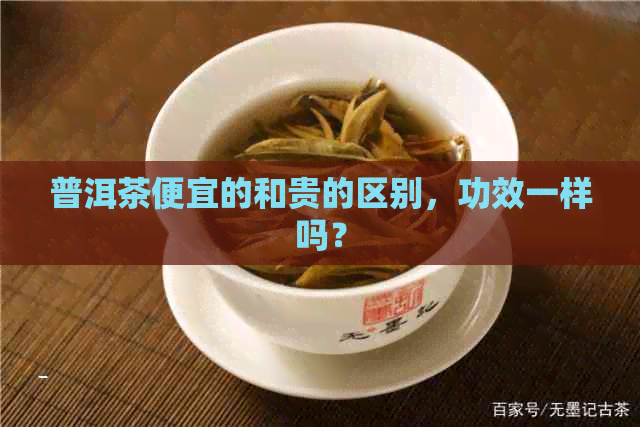 普洱茶便宜的和贵的区别，功效一样吗？