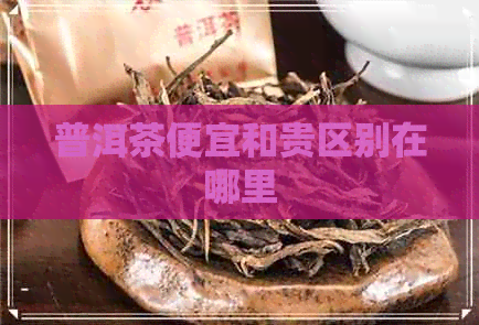 普洱茶便宜和贵区别在哪里